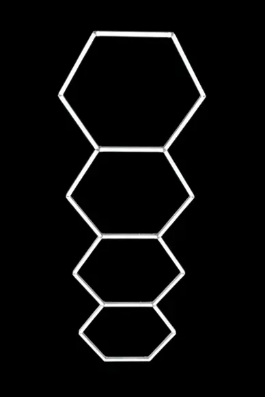 Led Neon Hexagon 4Hex
