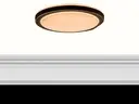 Light Fixture