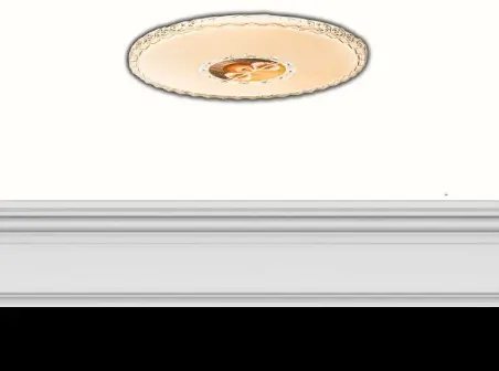 Light Fixture