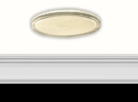 Light Fixture