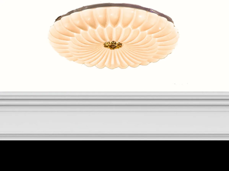 Light Fixture