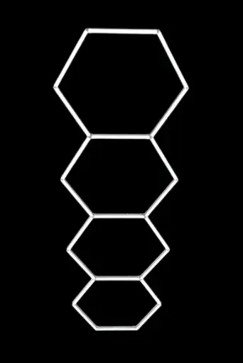 Led Neon Hexagon 4Hex